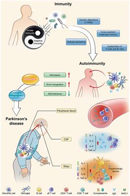 The Challenge of the Pathogenesis of Parkinson's Disease: Is Autoimmunity the Culprit?